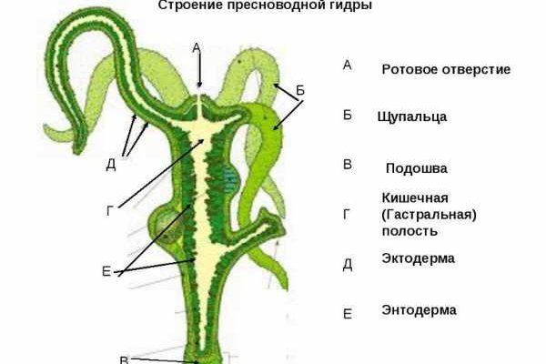Короткая ссылка на кракен