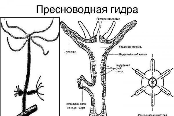 Кракен вход kr2web in