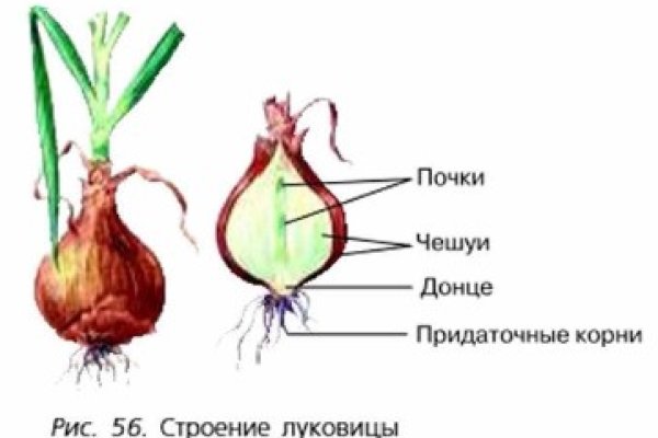 Кракен сайт сегодня